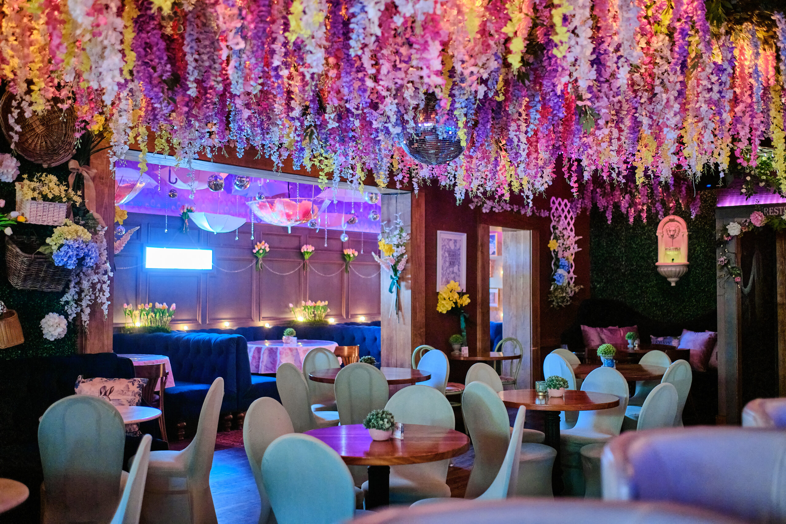 The Blooming Pig 2025 - Interior 41